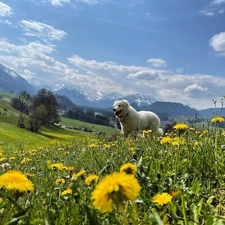 Apartmán Fewo Laengerer Sonthofen Exteriér fotografie