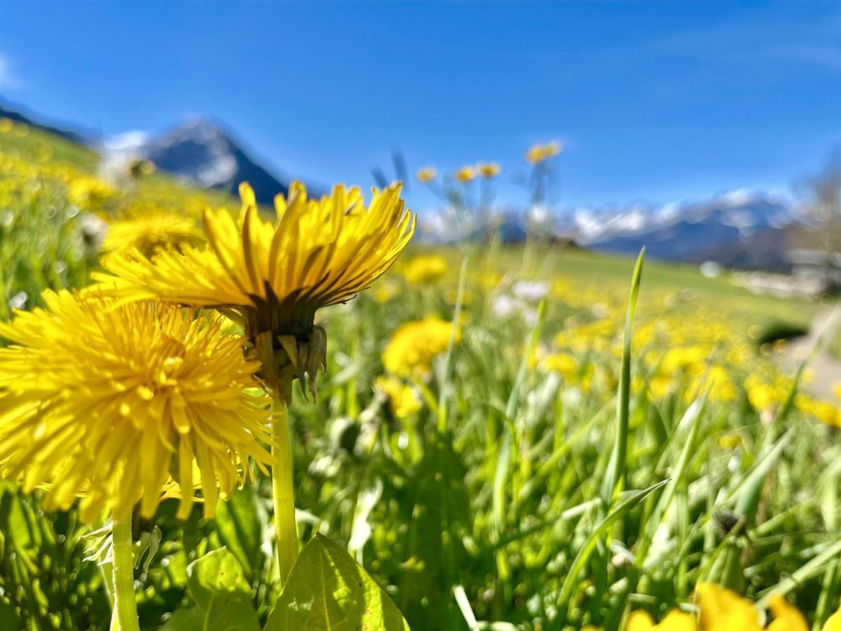 Apartmán Fewo Laengerer Sonthofen Exteriér fotografie