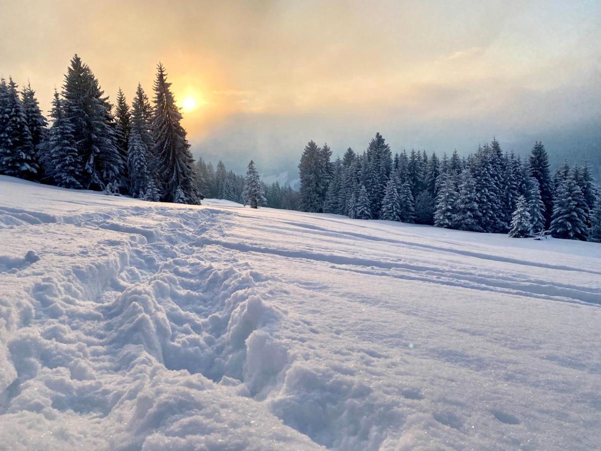 Apartmán Fewo Laengerer Sonthofen Exteriér fotografie