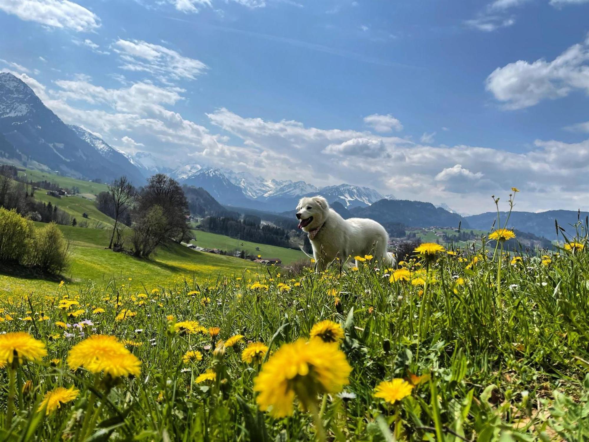 Apartmán Fewo Laengerer Sonthofen Exteriér fotografie